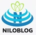 پایان نامه.مقالات.تحقیق